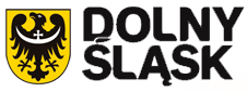 logo_ds.png